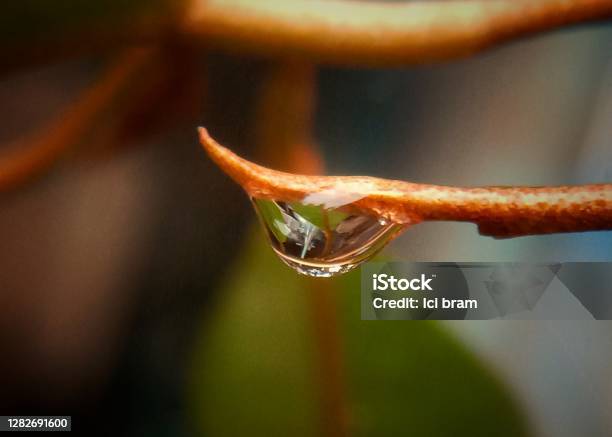 Glowing Drop Stock Photo - Download Image Now - Abstract, Backgrounds, Beauty