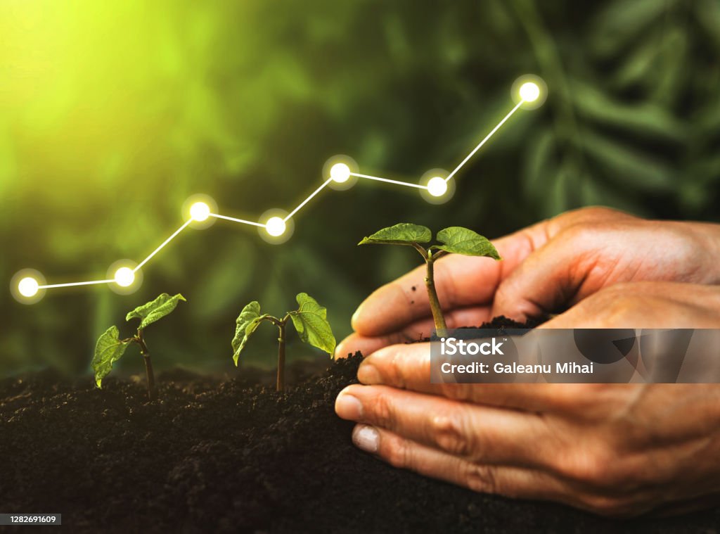 Concept bedrijfsgroei, winst, ontwikkeling en succes. Hand planten zaailing groeiende stap in tuin met zonneschijn - Royalty-free Groei Stockfoto