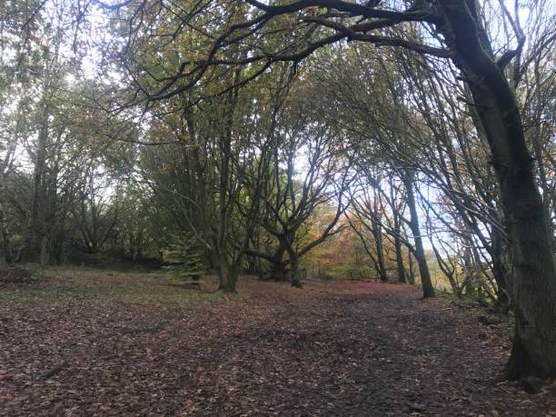 istock Otley Chevin Yorkshire United Kingdom 1282693099