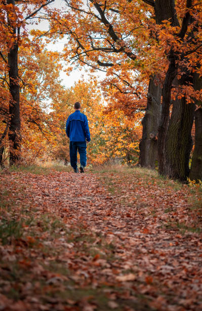 istock Young caucasian man walking in colorful autumn path alley tree 1282694613