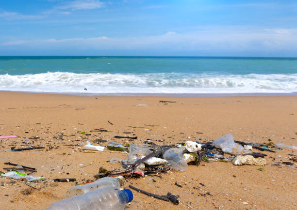 istock Plastic bottle waste is an environmental pollution on the beach 1282695444