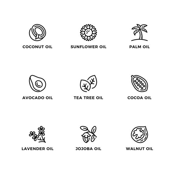 ilustrações de stock, clip art, desenhos animados e ícones de vector set of design elements, logo design template, icons and badges for nature oils. - cacau em pó