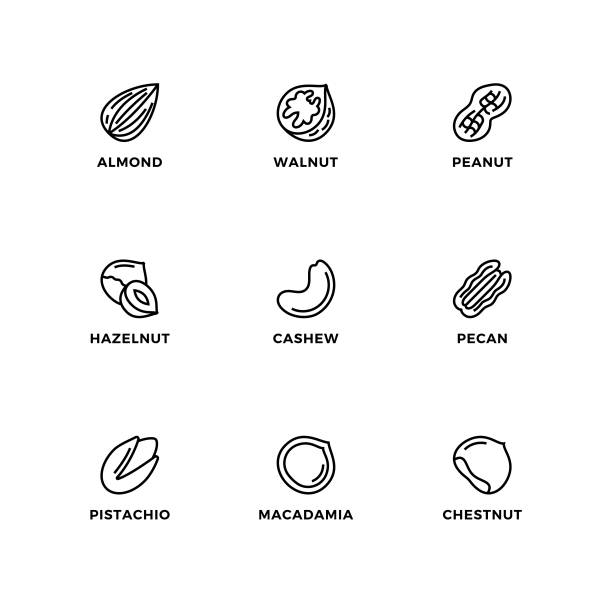 vektör tasarım öğeleri kümesi, logo tasarım şablonu, simgeler ve fındık için rozetler. - nuts stock illustrations