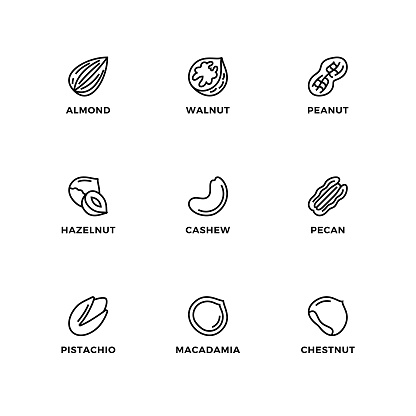 Vector set of design elements, logo design template, icons and badges for nuts. Line icon set, editable stroke.