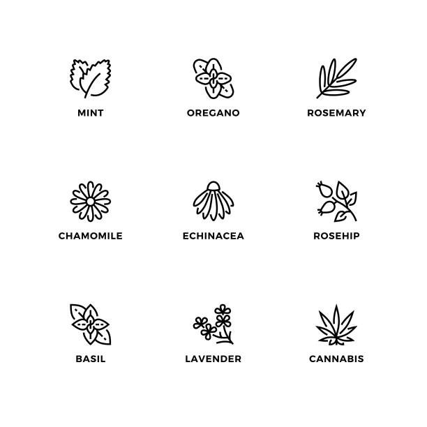 Vector set of design elements, logo design template, icons and badges for nature herbs. Vector set of design elements, logo design template, icons and badges for nature herbs. Line icon set, editable stroke. marijuana herbal cannabis stock illustrations