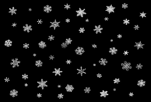 Collection of real snowflakes macro on pure black background