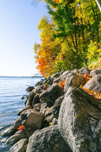 istock Rocks Along the Lakeshore in Fall 1282699993