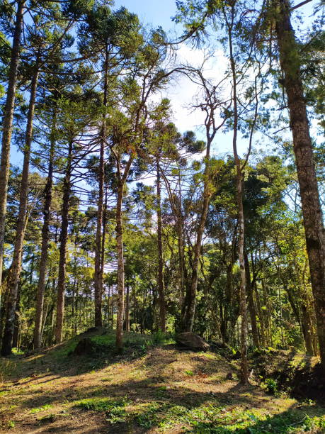 istock Beautiful Santa Catarina landscape 1282702079