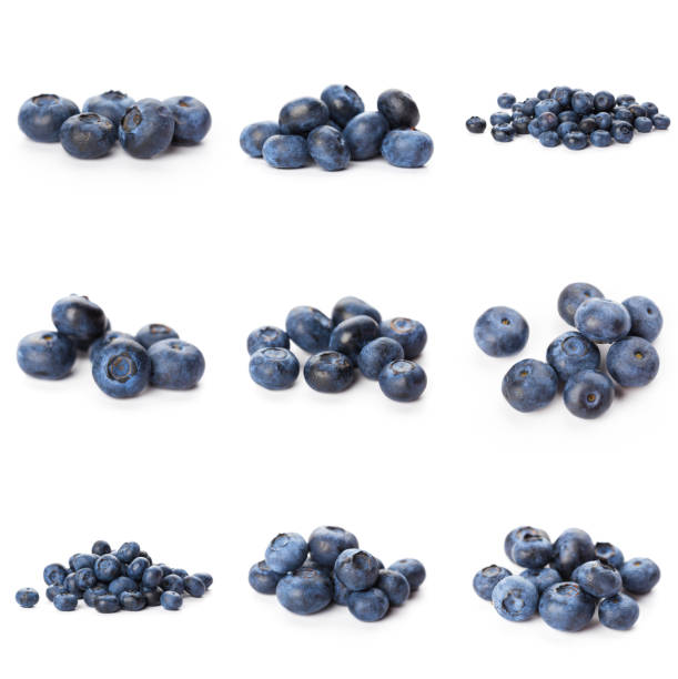istock Blueberries set isolated on white background. Bilberry. Clipping path. 1282703716
