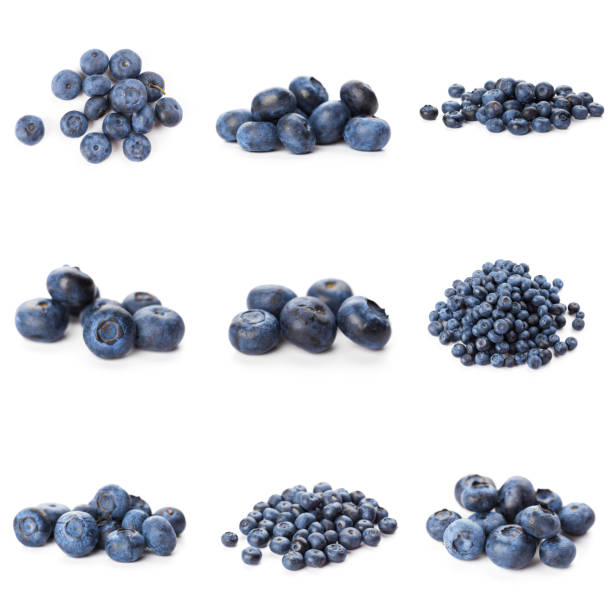 istock Blueberries set isolated on white background. Bilberry. Clipping path. 1282703739