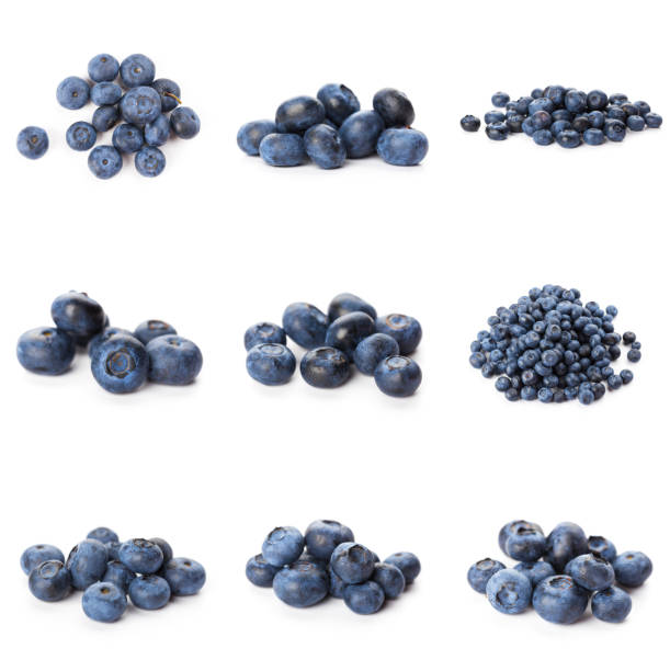 istock Blueberries set isolated on white background. Bilberry. Clipping path. 1282703749