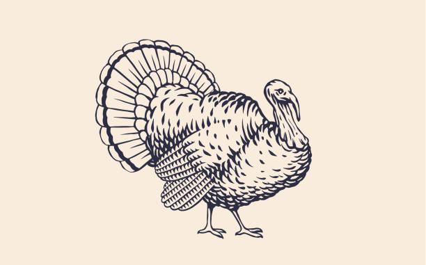 illustrazioni stock, clip art, cartoni animati e icone di tendenza di turchia. stampa retrò vintage - turkey thanksgiving farm meal