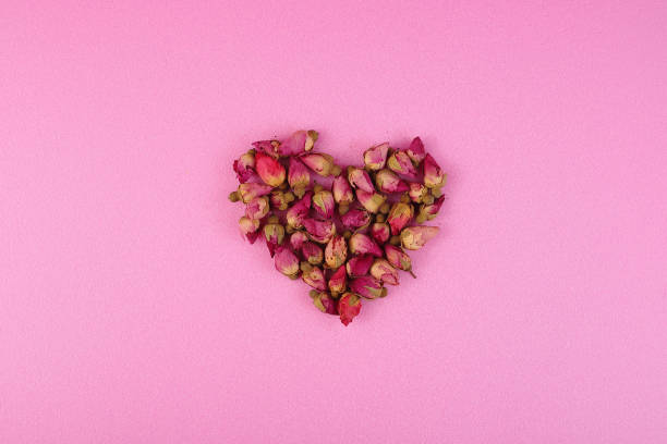istock heart of pink buds on a pink background 1282704834