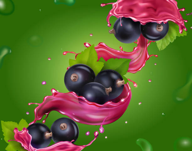 illustrations, cliparts, dessins animés et icônes de cassis, baie de groseille dans l’éclaboussure de jus sur l’illustration réaliste de vecteur de fond vert - berry fruit currant dessert vector