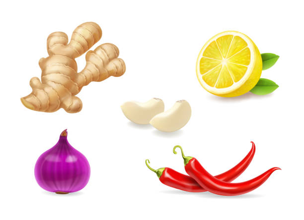 생강, 레몬, 붉은 양파 일러스트 - spice ginger cooking tasting stock illustrations