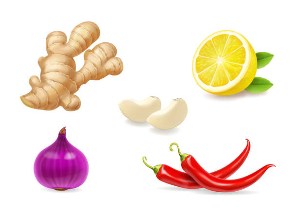 ilustrações de stock, clip art, desenhos animados e ícones de ginger, lemon, red onion illustration - onion vegetable leaf spice