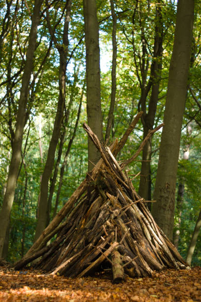 istock Wooden camp in forest 1282705773
