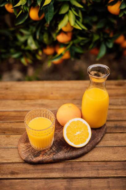 istock Appetizing freshly squeezed orange juice from organic oranges from the own garden 1282705854