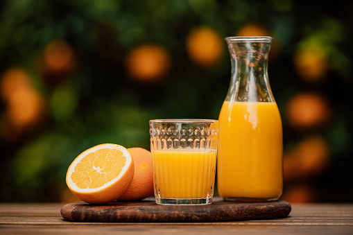 Freshly squeezed orange juice from organic oranges from the own garden, selective focus