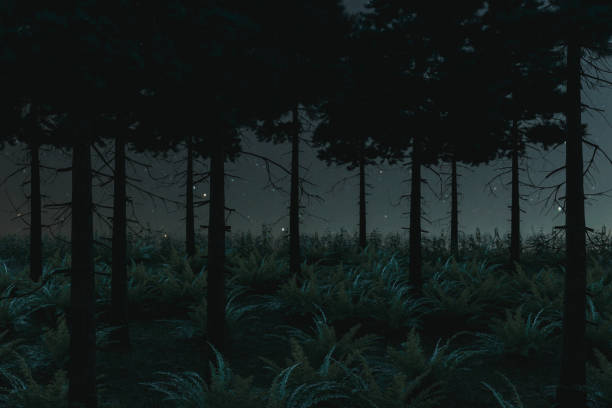 3d rendering of pine forest with fern plants in the night