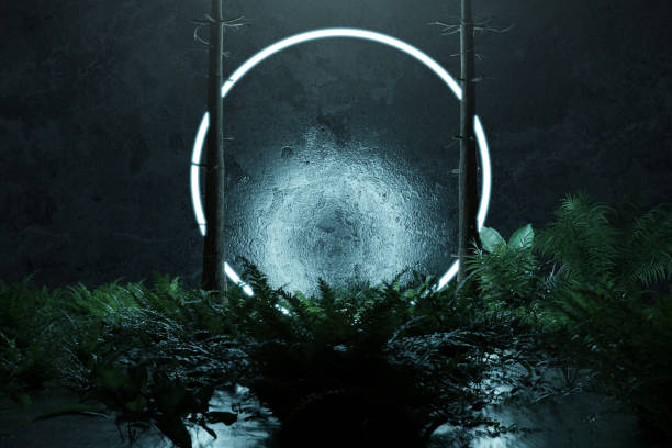 istock 3d rendering of blue lighten circle shape surrounded by fern and pine trees 1282706204