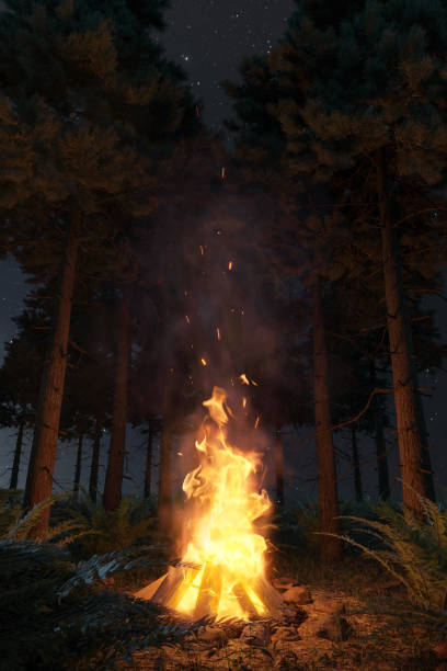 istock 3d rendering of big bonfire with sparks in the forest at night 1282706251