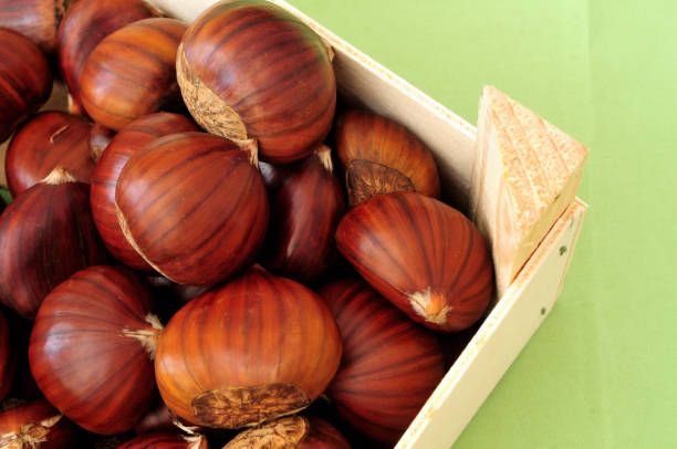 organic chestnuts stock photo