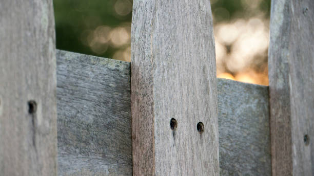 istock Wooden fence at sunset 1282708359