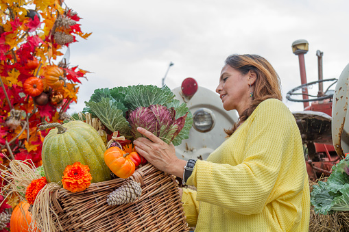 Thanksgiving Latin Experience in USA.\n\nHappiness beautiful smiling fashion latin woman enjoying Thanksgiving Day or Halloween Season in United States, wearing a yellow shirt, blue jeans and white shoes, picking up in a cozy farm with a basket, tractor and old car: wild and sunflowers, pumpkins, vegetables on a warm cloudy autumn day.