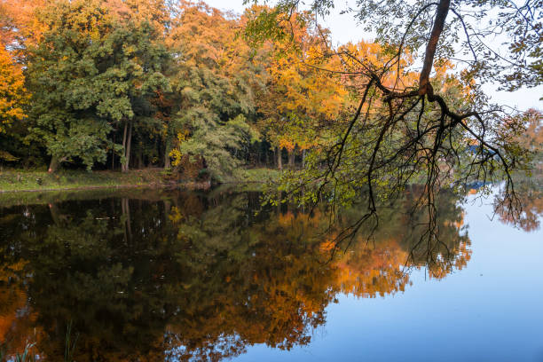 istock Autumn colors in the park 1282708728