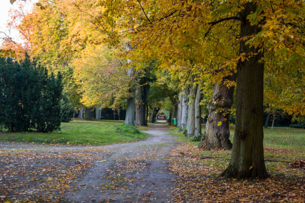 istock Autumn colors in the park 1282708930