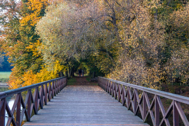 istock Autumn colors in the park 1282708939