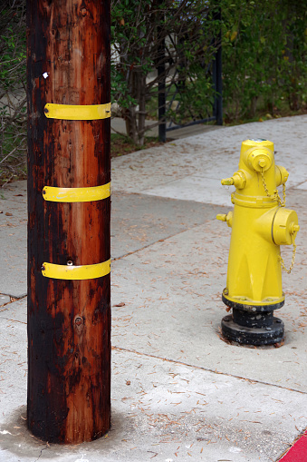 The bottom of an electric distribution pole marked with yellow reflectors next to a yellow fire hydrant