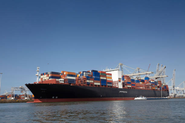 istock Large harbor cranes loading container ships in the port of Rotterdam. 1282711520