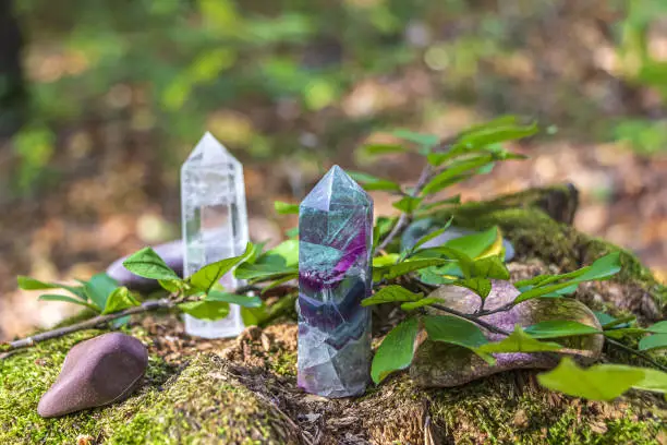 Gemstones fluorite, quartz crystal and various stones. Magic rock for mystic ritual, witchcraft Wiccan and spiritual healing on stump in forest. Meditation reiki. Ritual for love
