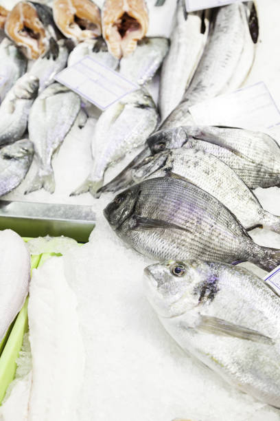 istock Fresh fish at a market 1282713702