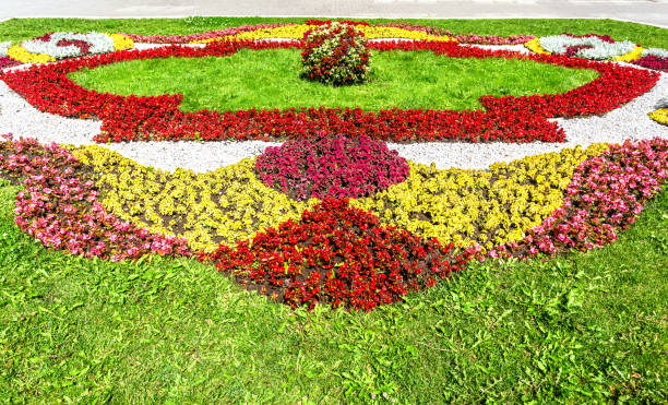istock Flower bed with different colorful flowers 1282713767