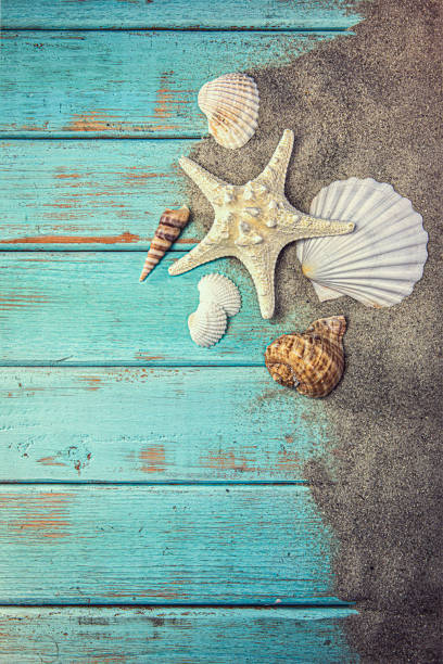 istock Seashells in the Sand on blue wood background 1282717077