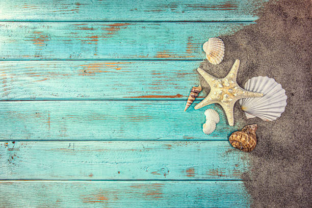 istock Seashells in the Sand on blue wood background 1282717078