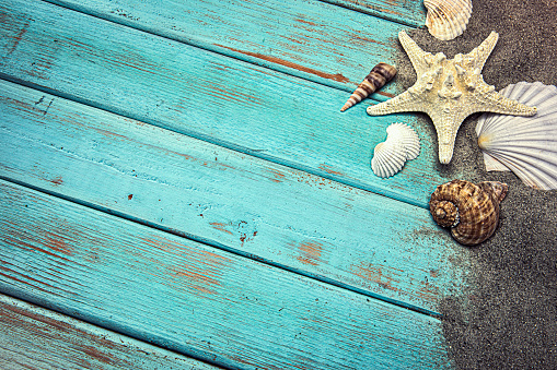 Seashells in the Sand on a blue weathered wood background