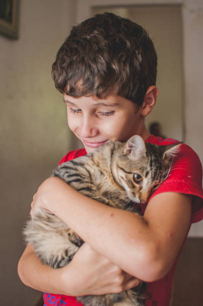 istock Portrait of boy hugging tabby cat 1282719264