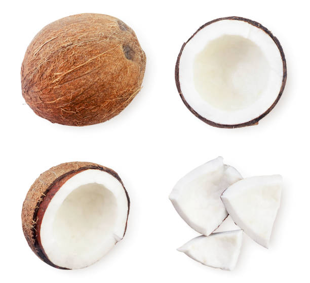 istock Coconut set whole, half and pieces on white isolated background. Top view 1282719672