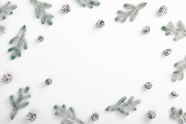 istock Evergreen tree branch with snow and pine cones. Horizontal composition, flat lay, top view. Snow forest creative minimal layout 1282721014