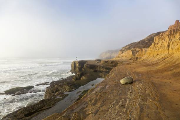 포인트 로마 타이드 풀, 샌디에이고 캘리포니아 - san diego california usa travel point loma 뉴스 사진 이미지