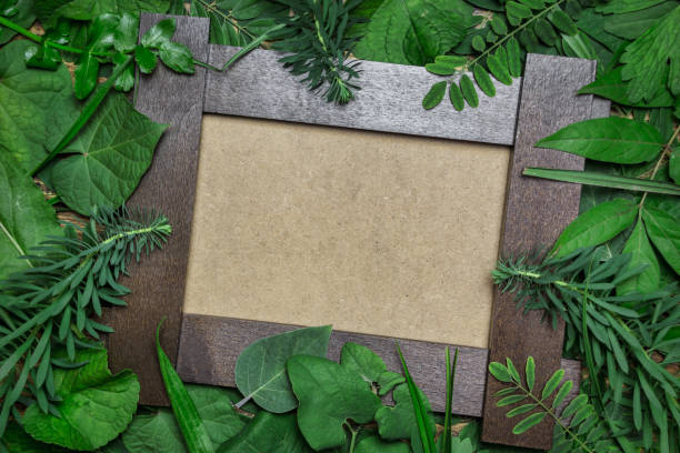 istock Natural frame made of different green leaves 1282722290