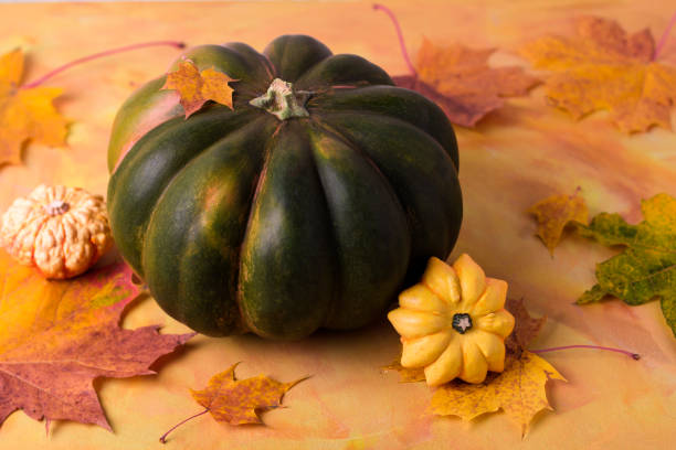 Still life with pumpkin, front view. Autumn concept with pumpkins. Close up view of food composition with pumpkins on yellow background