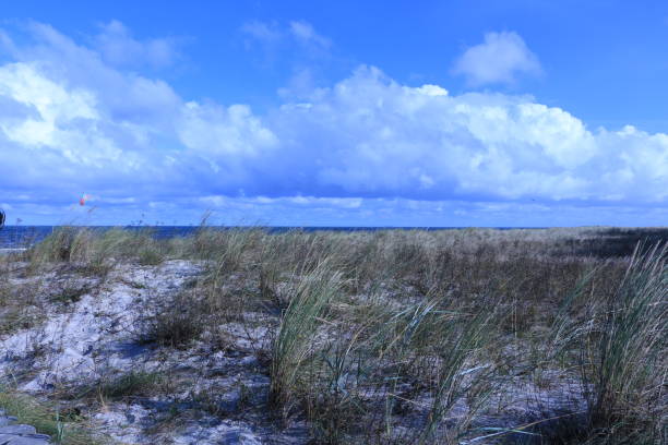 istock View of the dunes in Zingst 1282724990