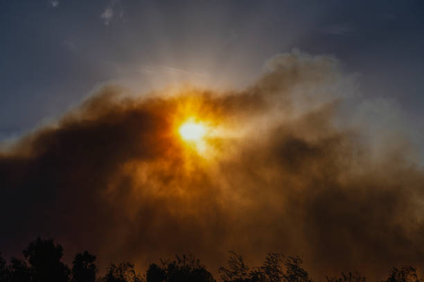 Smoke cloud after wildfire in meadow, selective focus