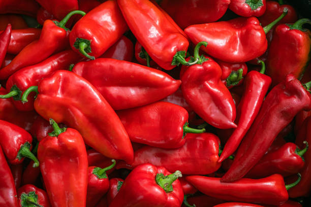 A pile of red paprika A pile of organic red paprika healthy eating red above studio shot stock pictures, royalty-free photos & images