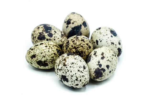 Quail egg isolated on white background Quail egg isolated on white background quail egg stock pictures, royalty-free photos & images